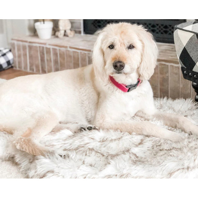 Furwell™ Orthopedic Dog Bed Memory Foam Pet Rug