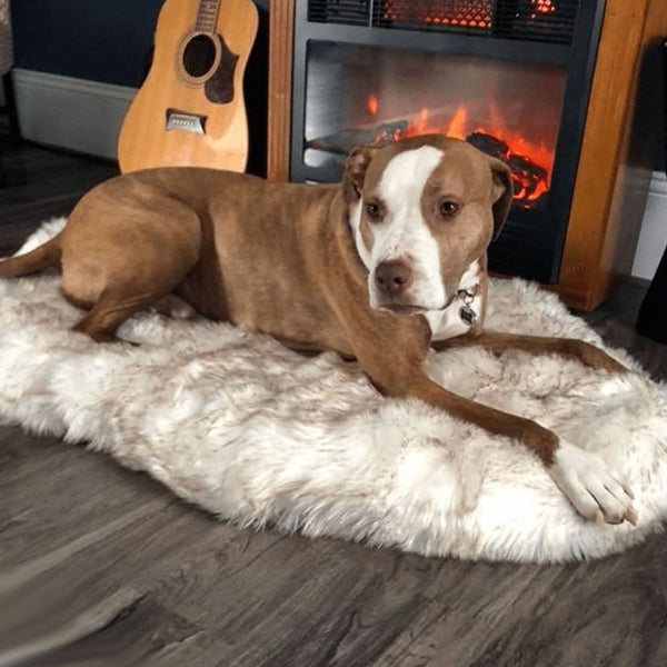 Buy Sheepskin Petmats, Sheepskin Rugs for Pets