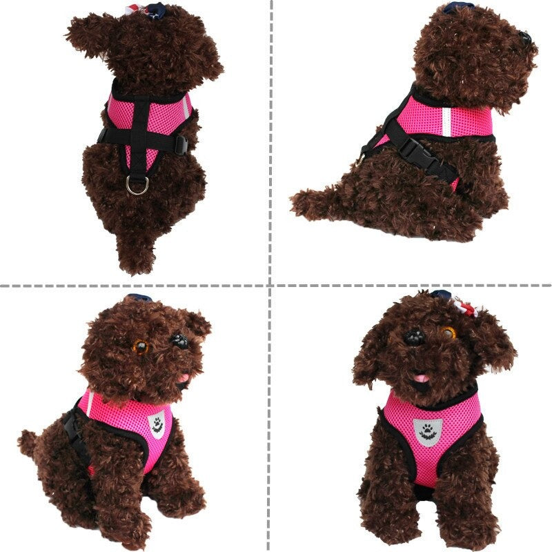 Cat Dog Harness with Leash Set