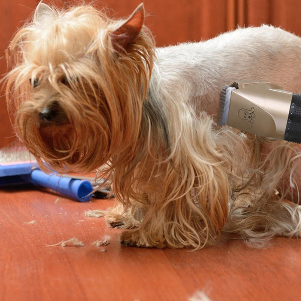Dog Grooming Clipper Kit, Hair Cutter, Cat Shaver, Hair Fur Trimmer
