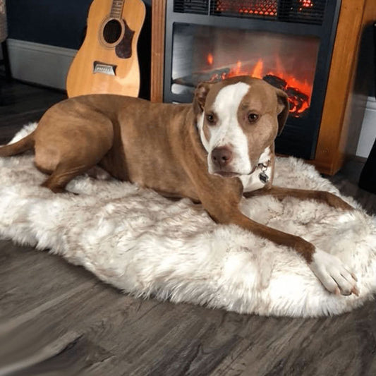 Furwell™ Orthopedic Dog Bed Memory Foam Pet Rug