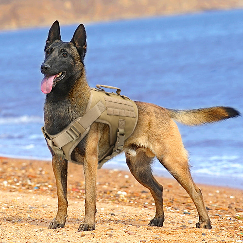 Adjustable Tactical Dog Harness for Small Medium Large Dogs